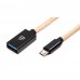 ifi Audio Type-C OTG Cable 連接線